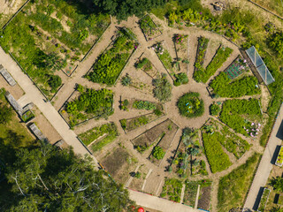 Aerial view of community garden in summer. Path through allotment with vegetables growing. Geometric pattern in garden.