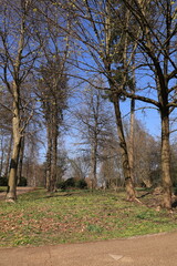 Sonniger Frühlingstag im Herminghauspark im Zentrum der Stadt Velbert in Nordrhein-Westfalen