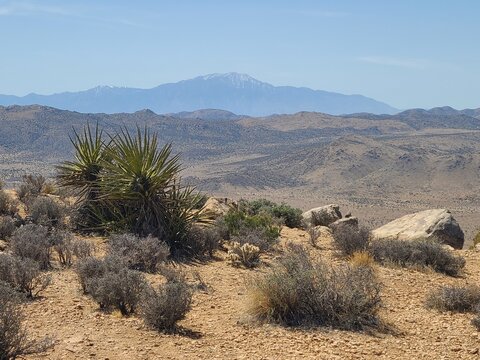 Views towards San Jacinto Peak from summit of Ryan Mountain in Joshua Tree National Park, California