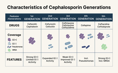 Cephalosporin Generations Comparison Chart
