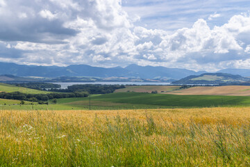 Fototapeta premium Liptovska Mara lake with rolling crop fields, Slovakia