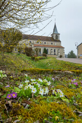 Naklejka premium Village church in Ternat, France with spring flowers