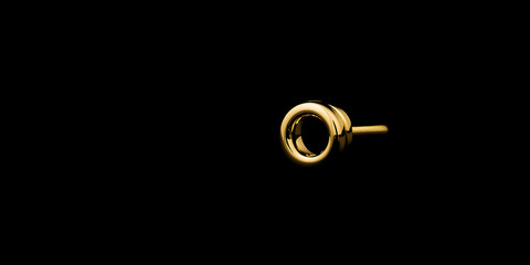 Elegant Close-Up of Single Gold Circular Earring Against Dark Surface