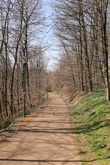 Fototapeta premium Sonniger Frühlingstag im Herminghauspark im Zentrum der Stadt Velbert in Nordrhein-Westfalen