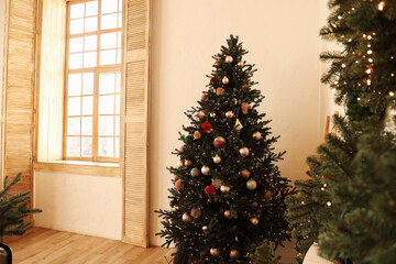Vibrant Christmas tree decorated with ornaments stands tall in cozy room filled with light