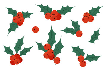 Traditional Christmas plant. Green holly leaves with red berries. For Christmas cards, posters and banners.