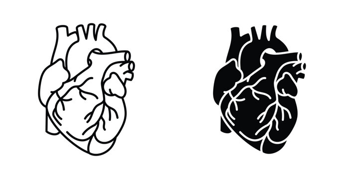 Human heart icon graphic design. Vector icon illustrations