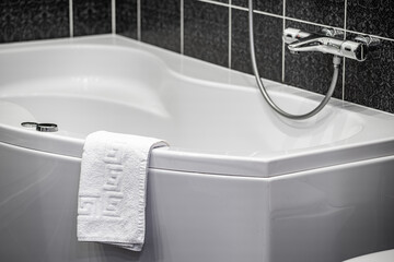 Bathroom in the apartment. Shower stall and bathtub.
