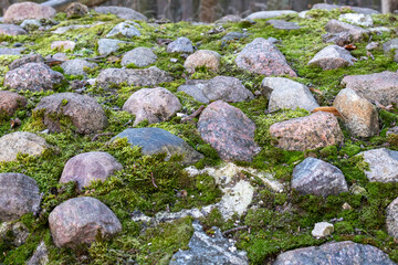 moss on the rocks