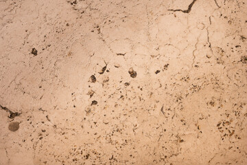 Porous limestone texture with natural patterns

