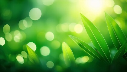 Green Blur And Bokeh Abstrack Background