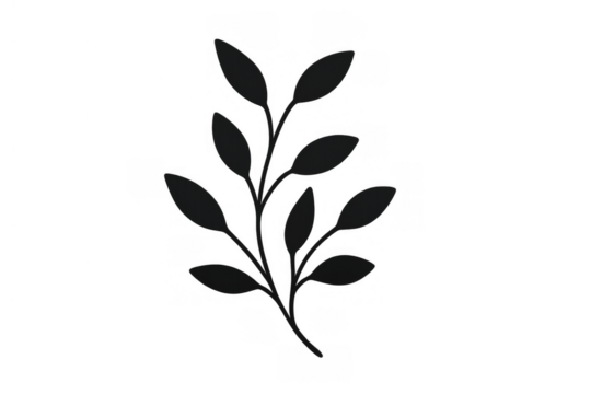 Plant branch silhouette with leaves, creating a simple, decorative element for various designs. Transparent background