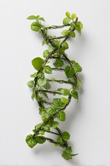 Immagine vettoriale del DNA come pianta viva, per indicare il legame tra natura e scienza. Isolata su sfondo trasparente.