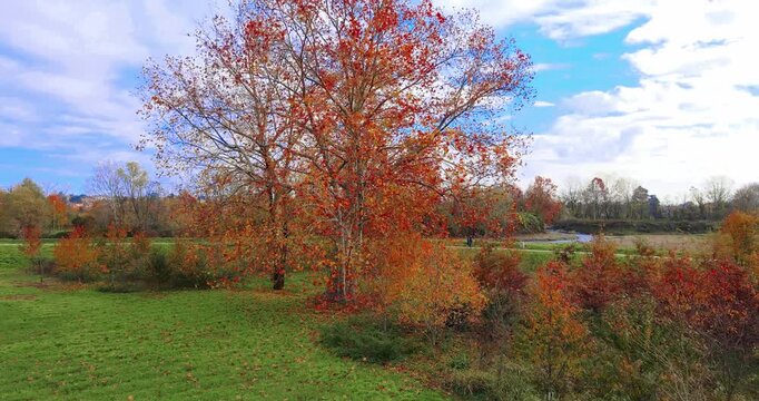 Aerial Drone - Autumn landscape in Legnano Park, Italy