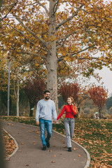 Fototapeta premium pair of lovers enjoying fall walk, walking hand in hand along leafcovered park trail in autumn