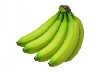 Green bananas bunch with firm unripe fruit, raw vegan snack for a healthy diet, transparent background