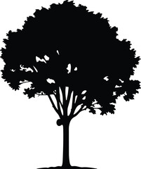 Illustration single mature tree in black and white silhouette vector © Nasima
