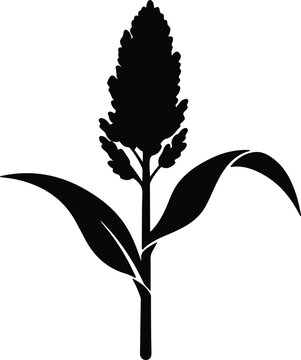 Illustration sorghum plant with leaves minimalist black silhouette vector