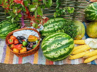 Still life with vegetables