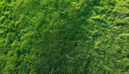 Seamless Grass Field Texture Aerial Top View Of A Large Patch Of Freshly Cut Healthy Green Grass Image Ready To Be Tiled To Create A Much Larger Texture Or Higher Resolution Background Pattern