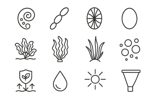 Marine Microflora Icons. Line style icons of Phytoplankton and Producers: microscopic algae, cyanobacteria, diatoms, green algae;