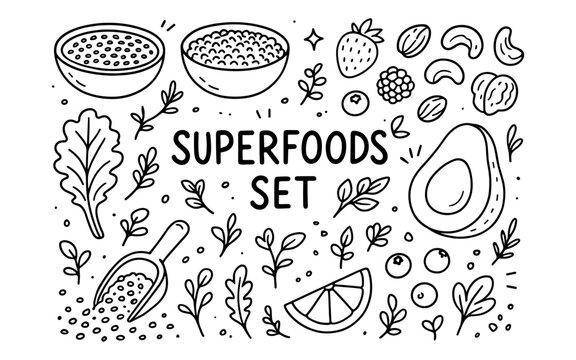 Hand-drawn superfoods set with berries, seeds, and nuts