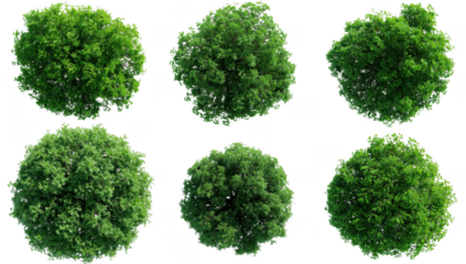 Six green tree tops isolated on transparent background, showcasing lush foliage and natural textures