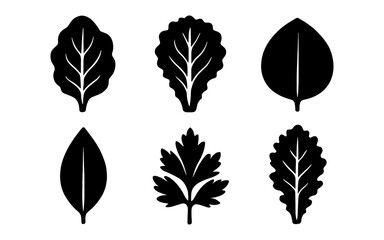 Fototapeta premium Silhouette collection of iconic leaf designs in minimalist style