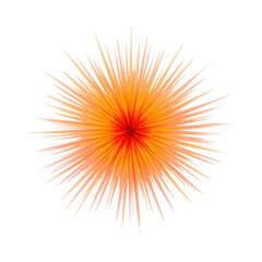 A burst of vibrant orange and red radiating outward, creating a dynamic and eyecatching design isolated on transparent background
