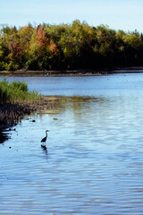 island lake in the summer