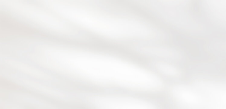 Shadow of leaves tree plant overlay on white wall. Sunlight effect shadow on the wall. Minimal blurred backdrop backgrounds. Summer tropical surface background.