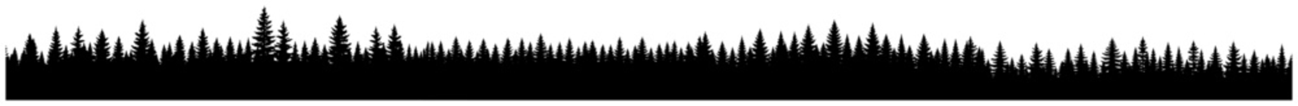 Coniferous forest silhouette vector panorama showing pine tree skyline background and nature landscape with spruce trees in black border style