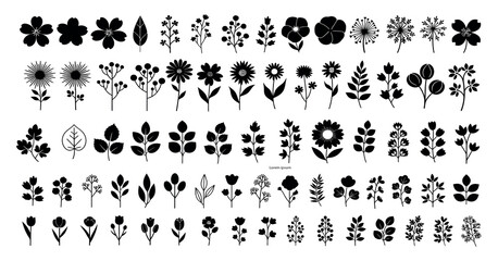 Collection of black flower and leaf silhouettes on white