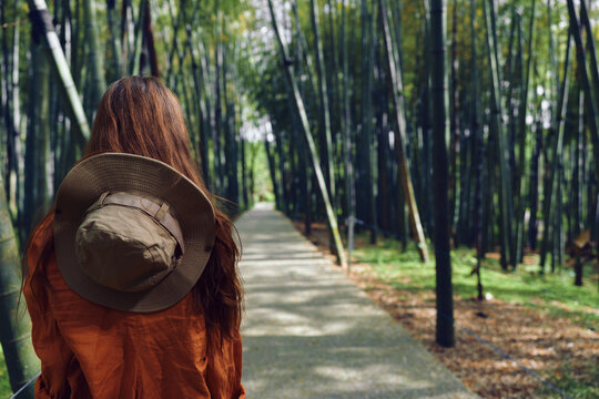 Woman hat path bamboo forest walking back traveler in orange jacket on a shaded trail, back view of a solitary traveler exploring green nature, peaceful walkway with tall vertical stems and sunlight. - Powered by Adobe