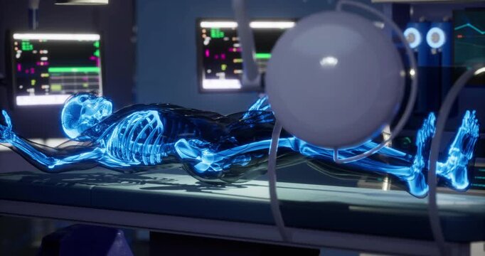 A detailed display of human bones is shown in a medical setting, highlighting the skeletal structure. The view focuses on the intricate design of the skeleton, emphasizing anatomy.