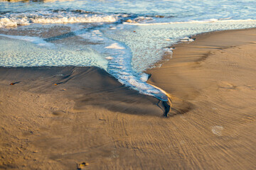 Close-up of Sea Water Runoff Channel and Foam on Wet Baltic Beach Sand