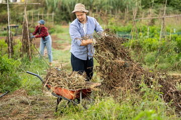 Fototapeta premium While working in backyard, girl collects branches, eliminates pile of garbage and waste, puts branches in wheelbarrow. He cleans up in front of country house and on patio