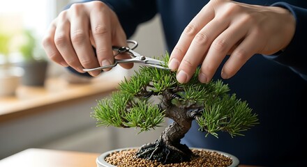 Bonsai tree being delicately pruned by skilled hands symbolizing patience