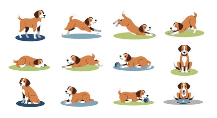 Fototapeta premium A collection of vector illustrations showing a cute beagle dog in various poses and activities like playing, running, and eating.