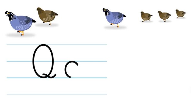 Q letter writing like quail cartoon animation. A compatibile part of the alphabet serie. Handwriting educational style for children. Good for education movies, presentation, learning alphabet.