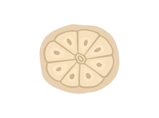 Sliced Garlic Clip Art Illustration
