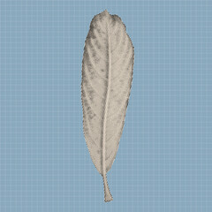Retro botanical leaf illustration created in a halftone dot style. Abstract vintage plant silhouette ideal for posters, prints, stickers, graphic design, and contemporary collage art.