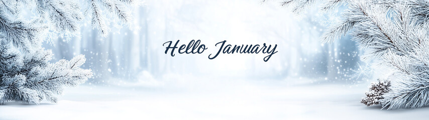 banner with winter background and words &lsquo;Hello January