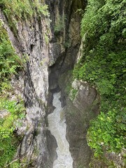 waterfall in the forest