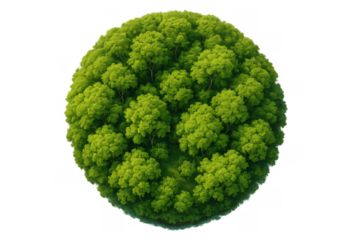 Group of green trees forming a small floating forest island, representing planet earth, nature, and ecology with transparent background