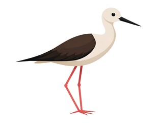 Obraz premium Illustration of a bird, featuring white head and neck, dark upper body, long black wings, and long red legs