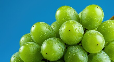 Obraz premium Macro shot of fresh, dew-kissed green grapes against a vibrant blue background, showcasing their juicy texture and natural beauty