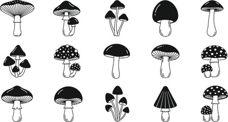 Collection of hand-drawn mushroom illustrations featuring various fungi species, botanical forest elements, edible and wild mushrooms for nature and organic design projects