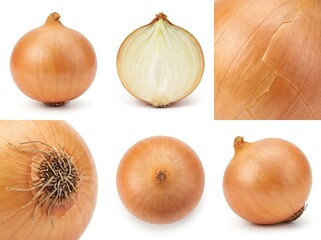 Onions collection isolated on white background