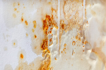 Large mold on the ceiling after the flood, wet marks on the ceiling of the room